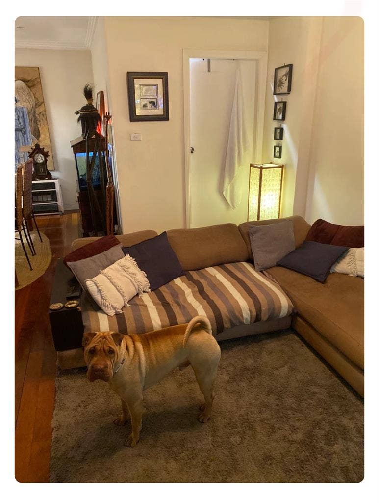 Room for rent in Canada bay