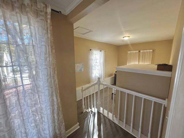 3 BR in Raleigh