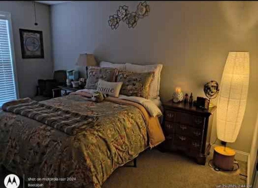 Must love dogs/ Furnished Room