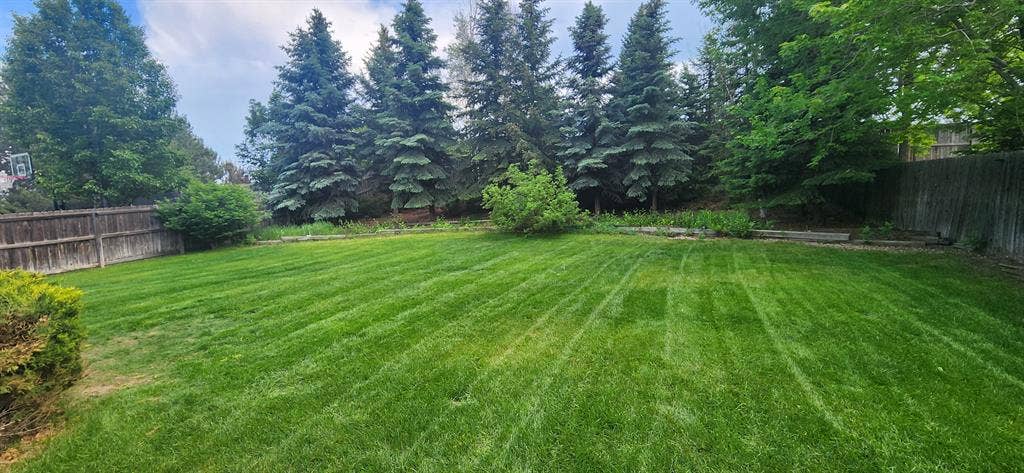 Room in South Fort Collins