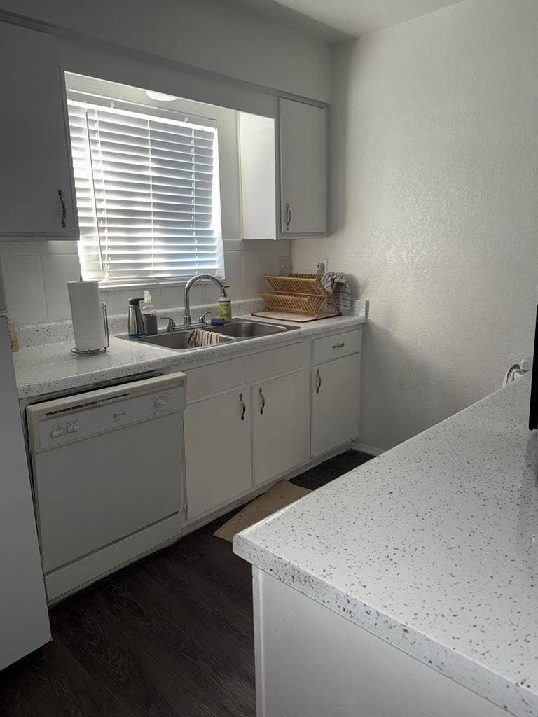 Need Female Roomate!