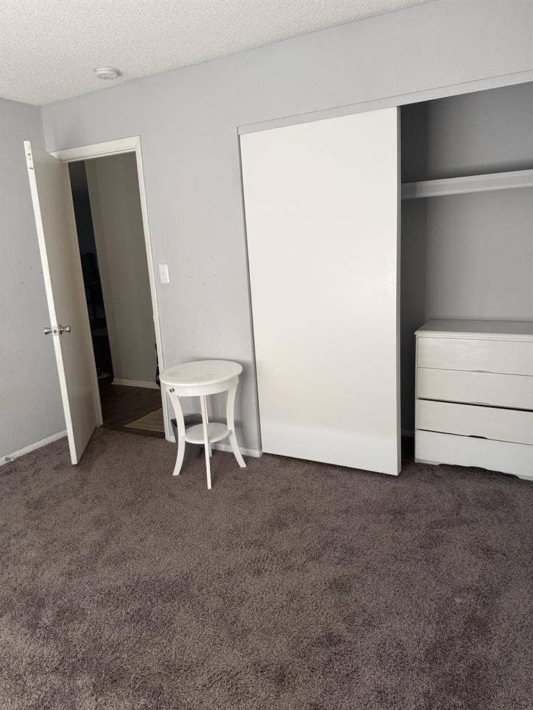 Need Female Roomate!