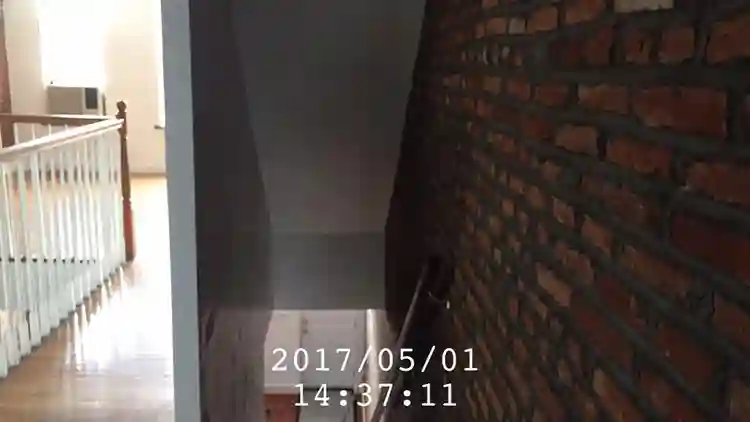 Looking for another roomate