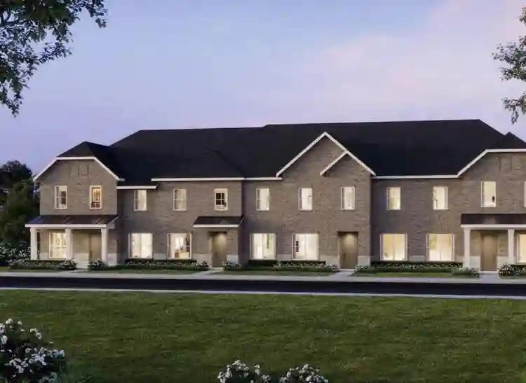 Looking for professional female