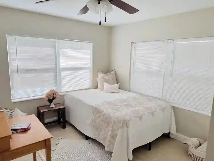 6 BR in Tampa