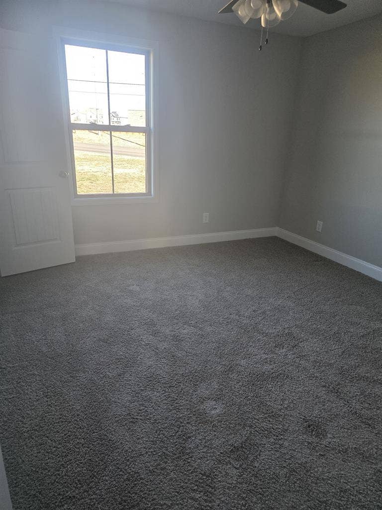 Room for rent, clarksville