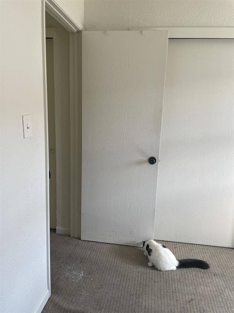 Looking for roommate