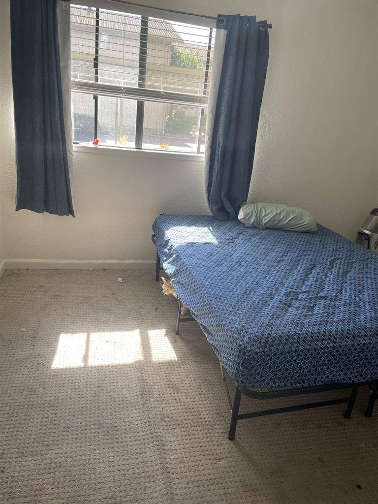 Looking for roommate