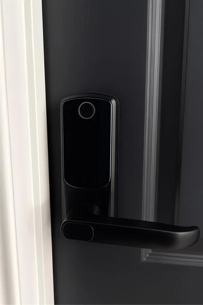 Private Room Available Immediately