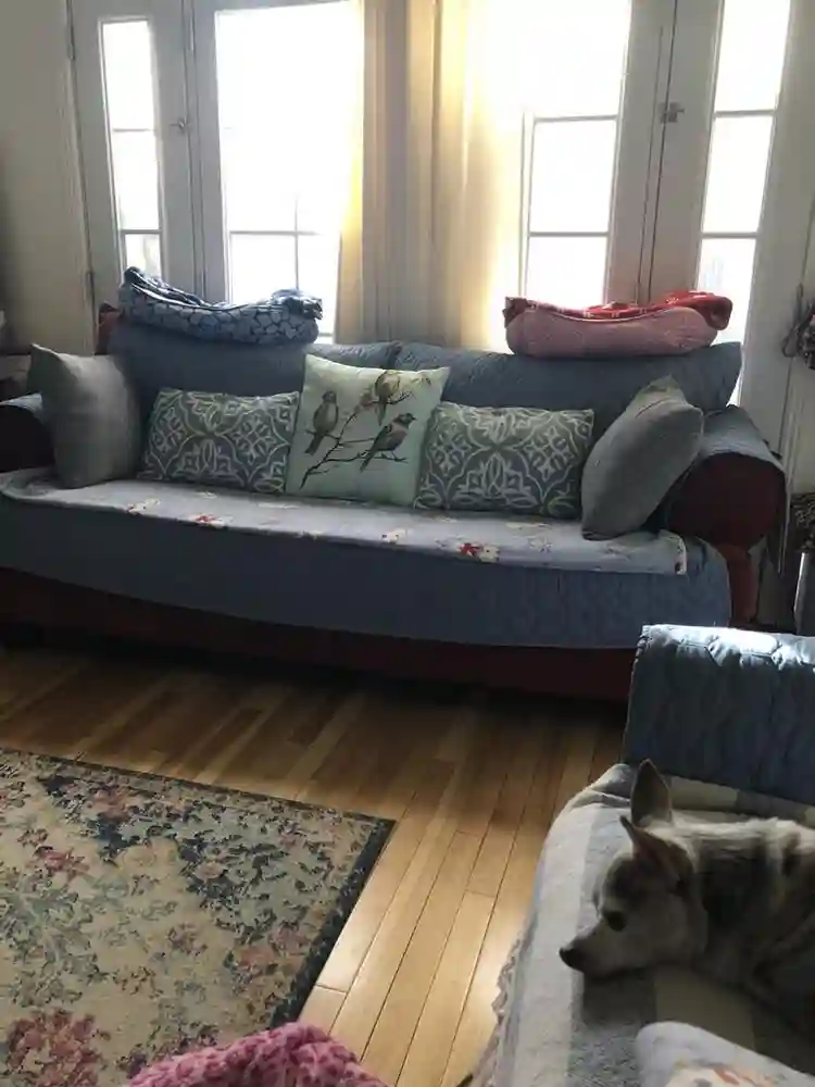 Quite and Cozy well Furnishedd