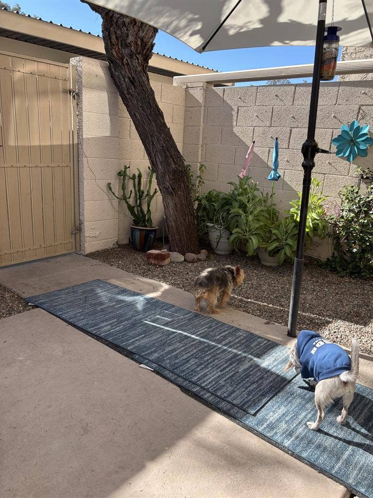 Quite and Cozy well Furnishedd