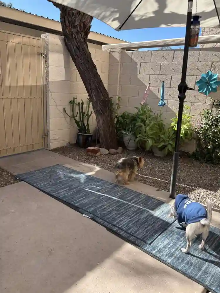 Quite and Cozy well Furnishedd