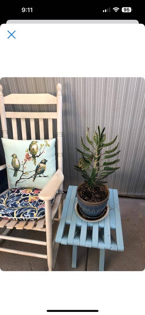 Quite and Cozy well Furnishedd