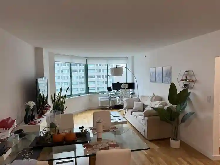 Large b in Newport 6 Months