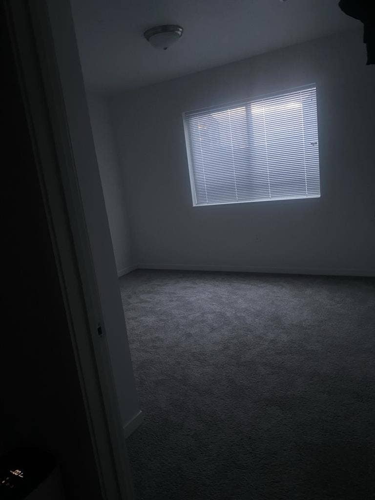 Looking for a Roomie