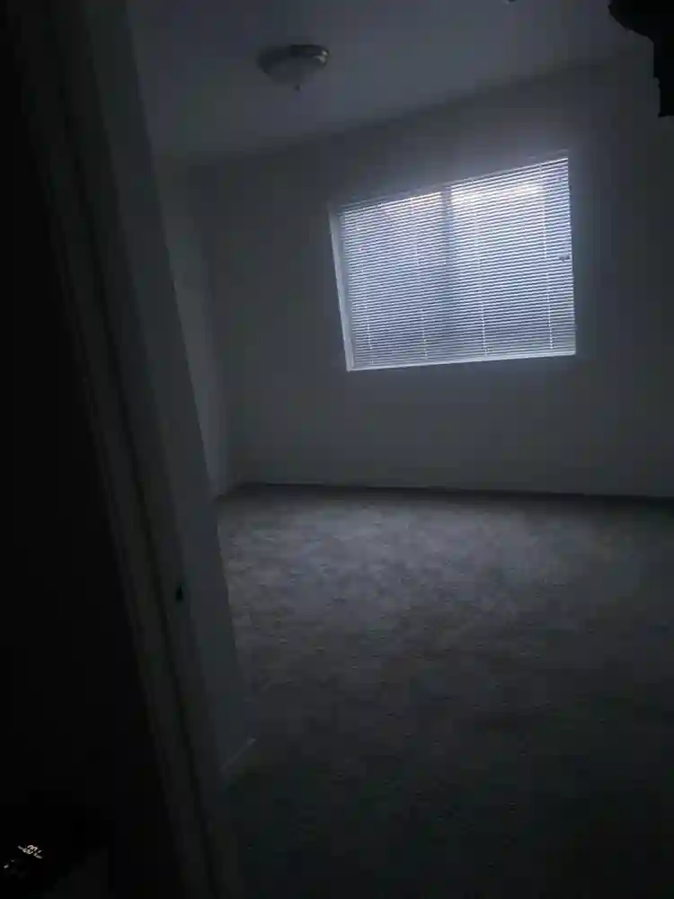 Looking for a Roomie