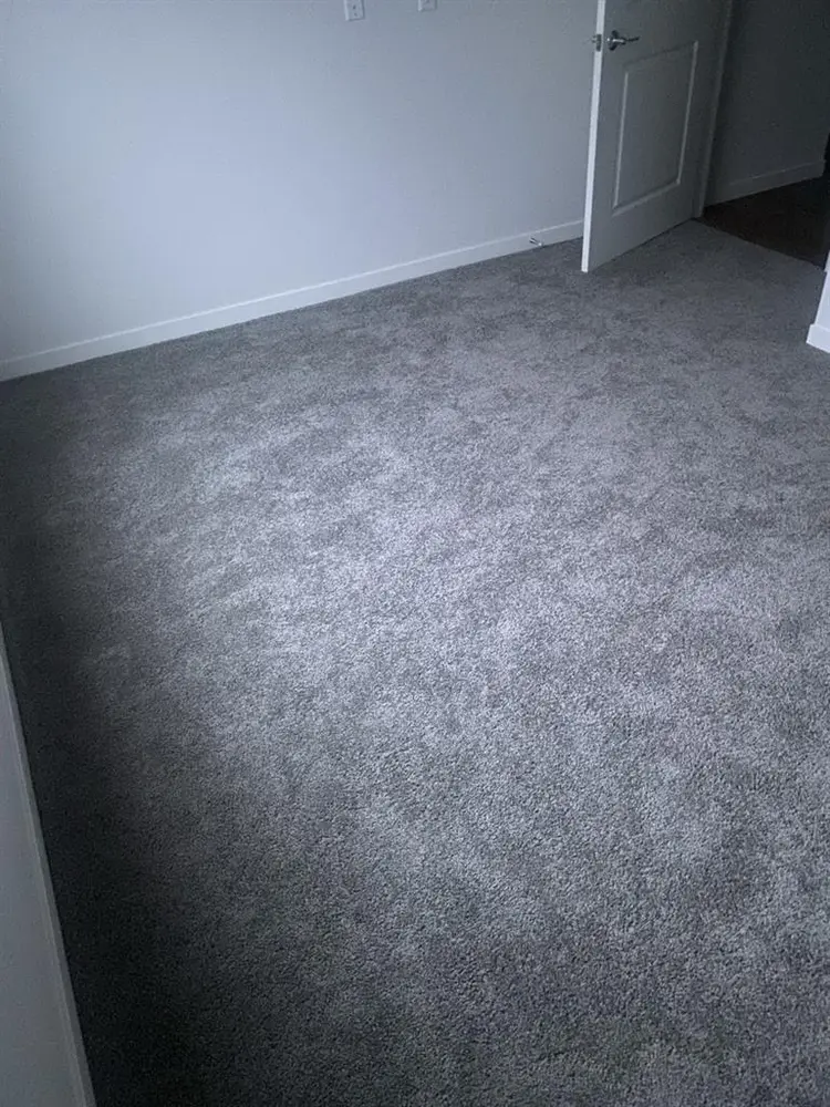 Looking for a Roomie