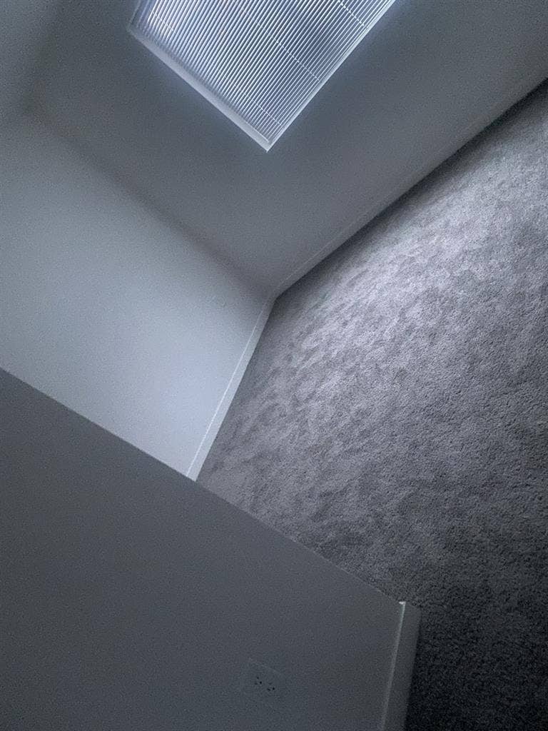 Looking for a Roomie