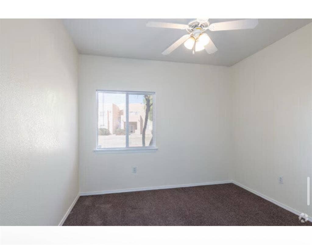 looking for roommate, Casa Bandera