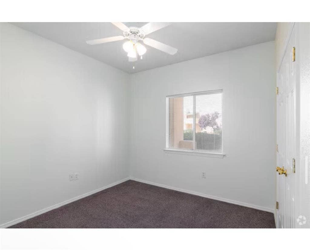 looking for roommate, Casa Bandera