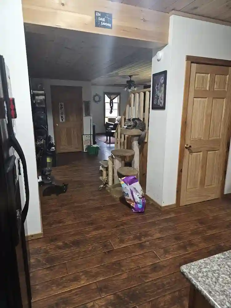 Private room for rent