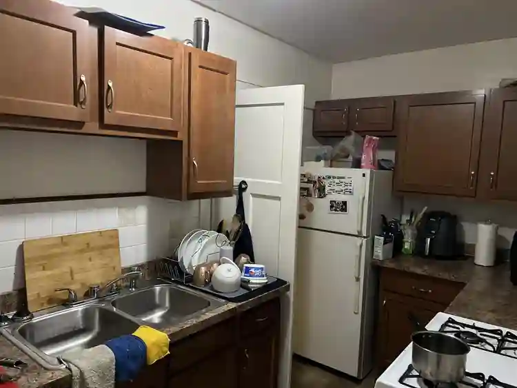 Looking for a roommate