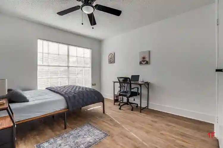 11 BR in Dallas
