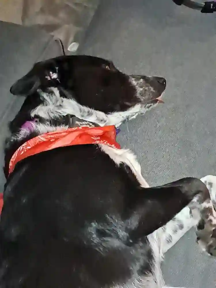 Looking for a new roommate!