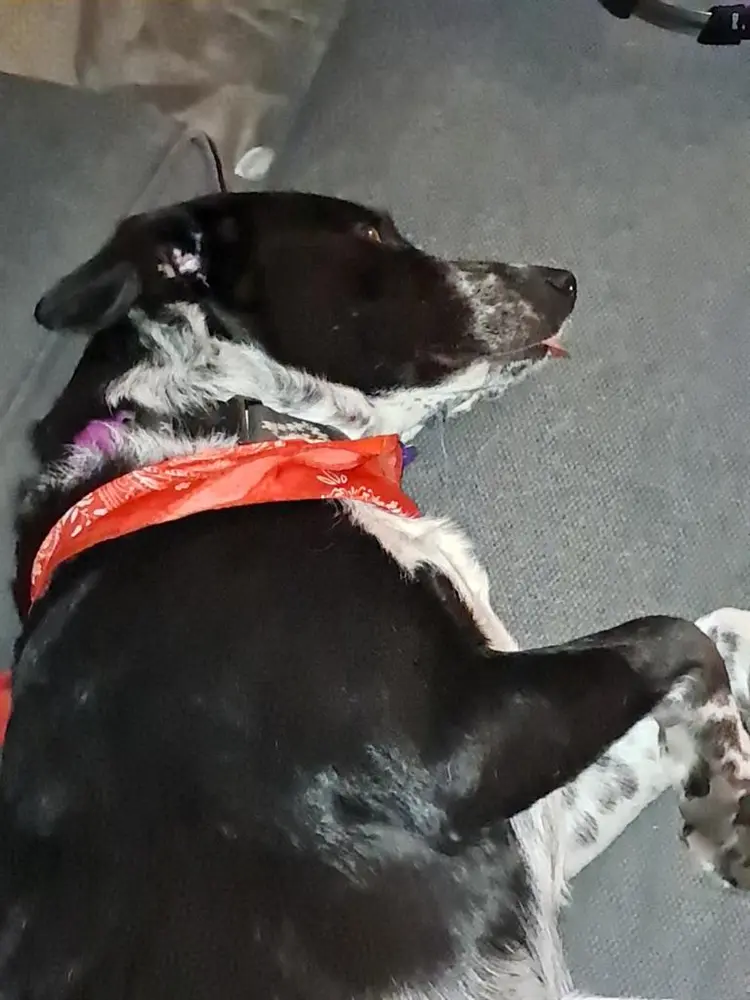 Looking for a new roommate!