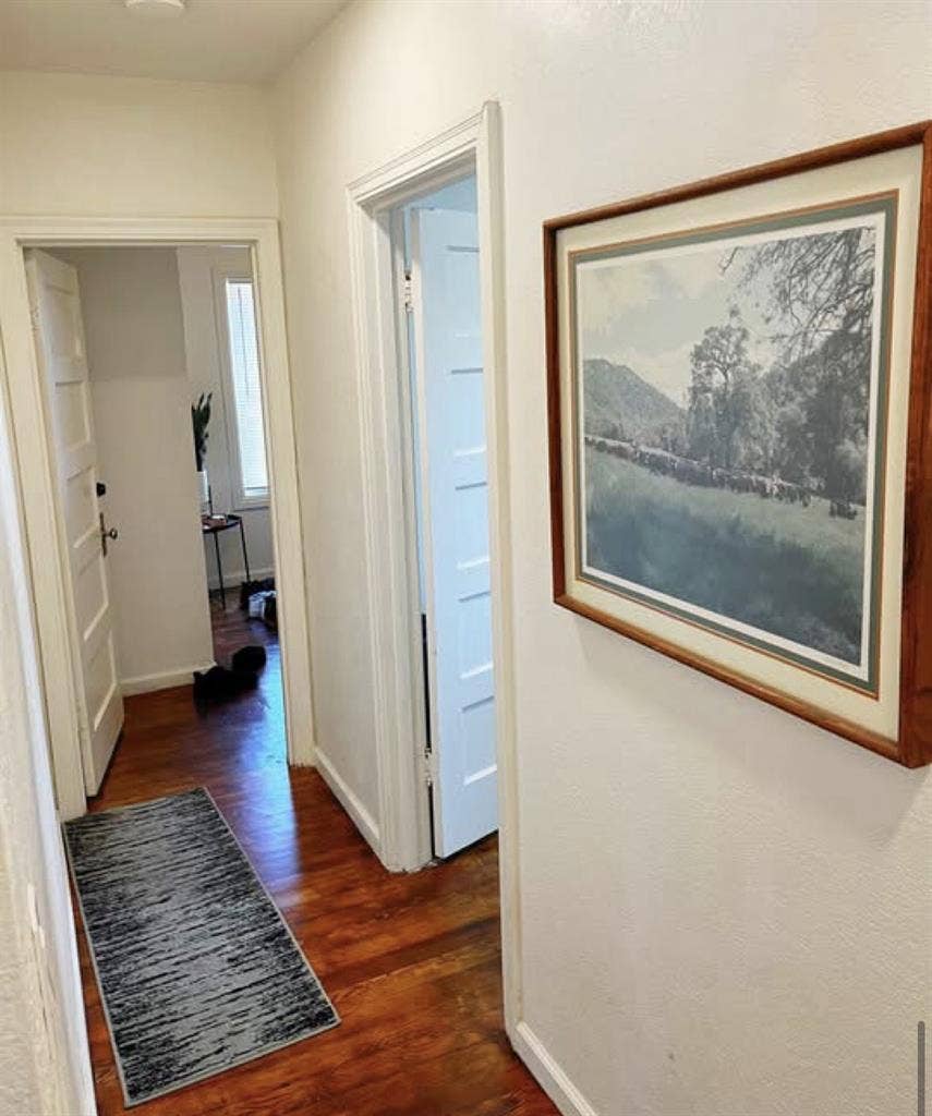 Male roommate wanted!