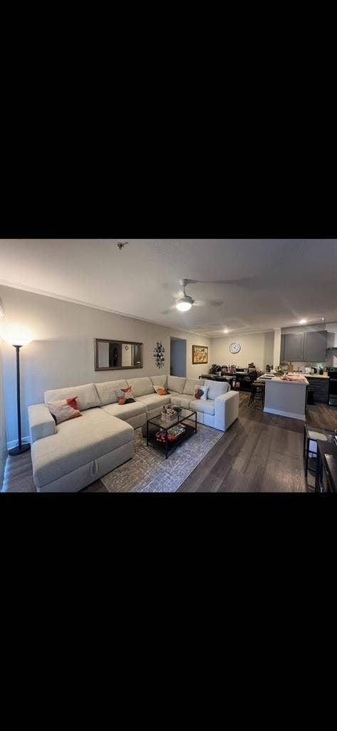 Looking for a female roommate