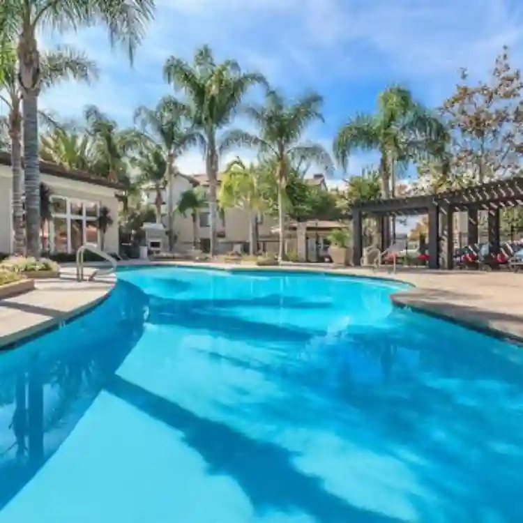 Looking for a female roommate