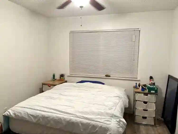 Cozy rustic downtown austin APT