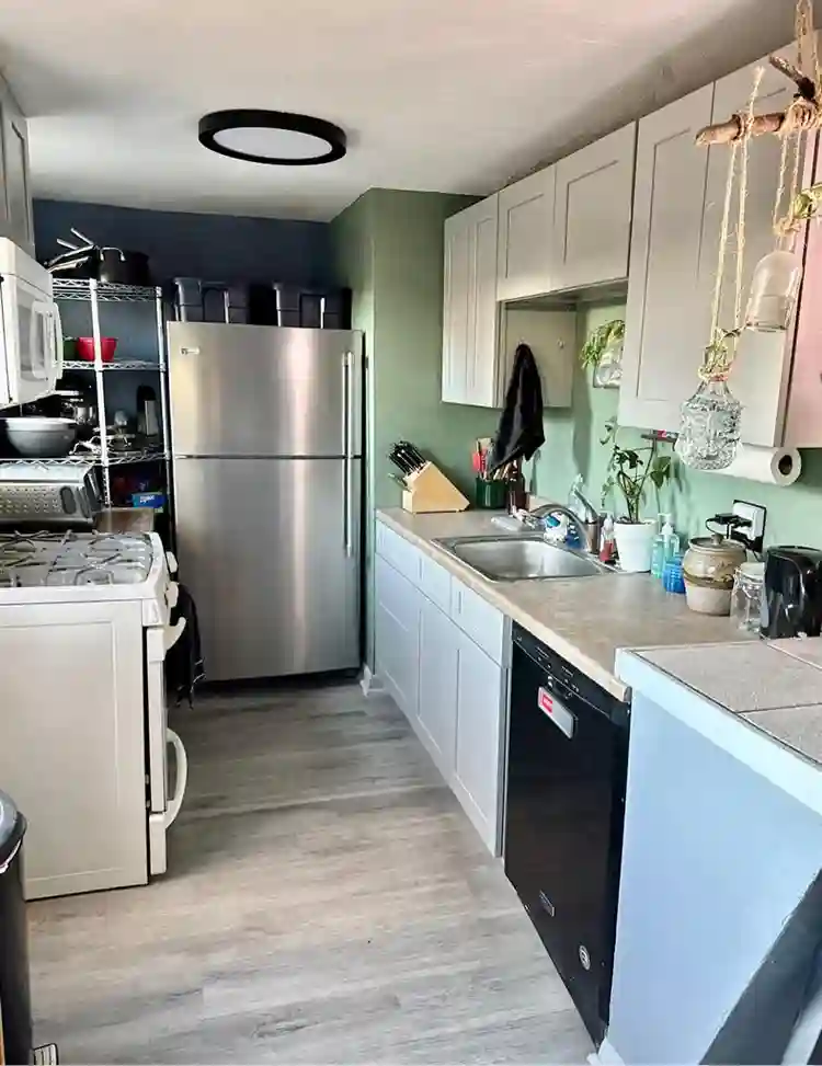 Pet Friendly Room for Rent