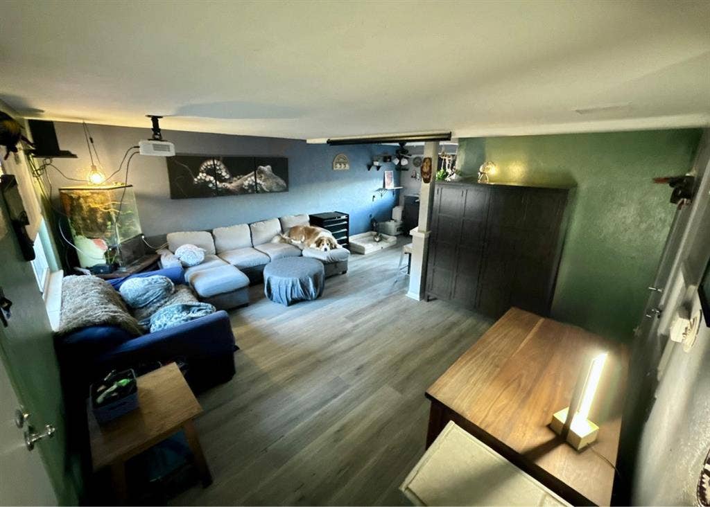 Pet Friendly Room for Rent