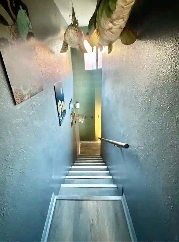 Pet Friendly Room for Rent