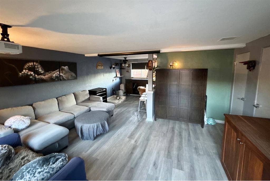 Pet Friendly Room for Rent