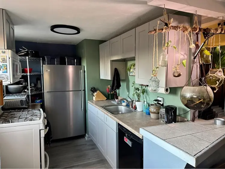 Pet Friendly Room for Rent