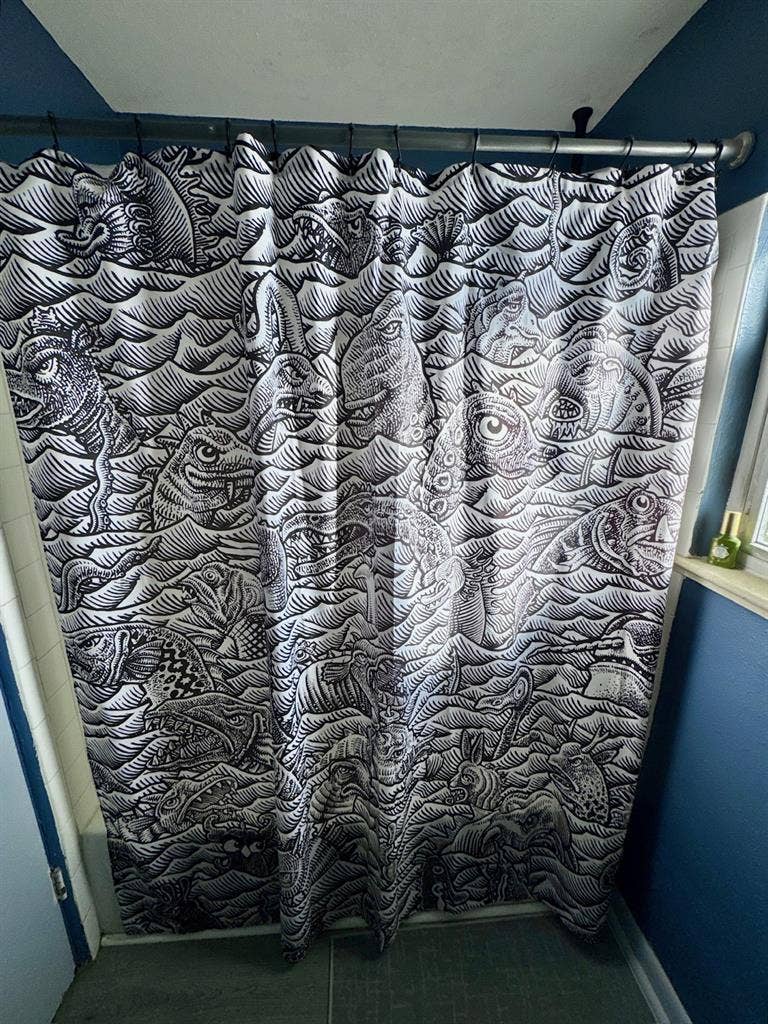 Pet Friendly Room for Rent