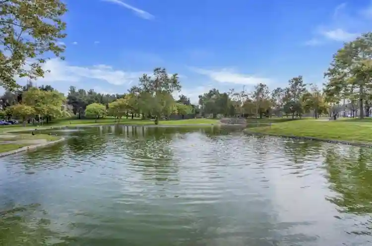 Peaceful Private Room for Rent