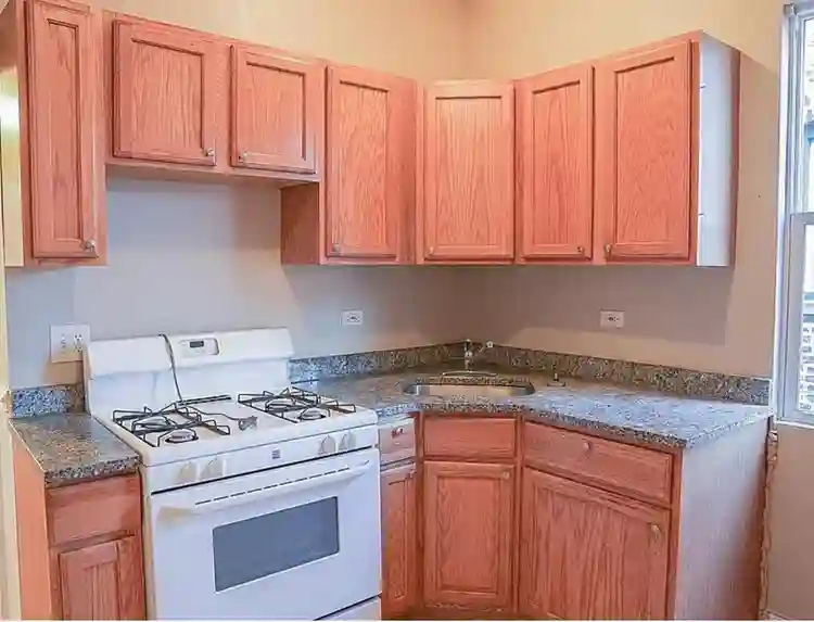 4BR Near UCHICAGO & Obama Center