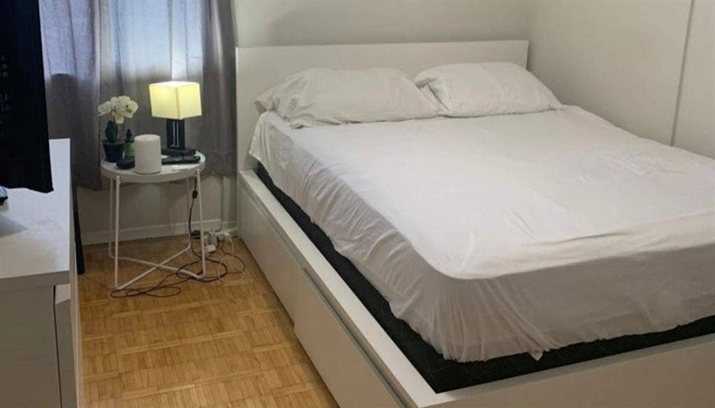 Looking for a roommate