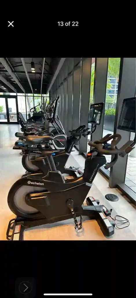 Luxury Professional Roommate