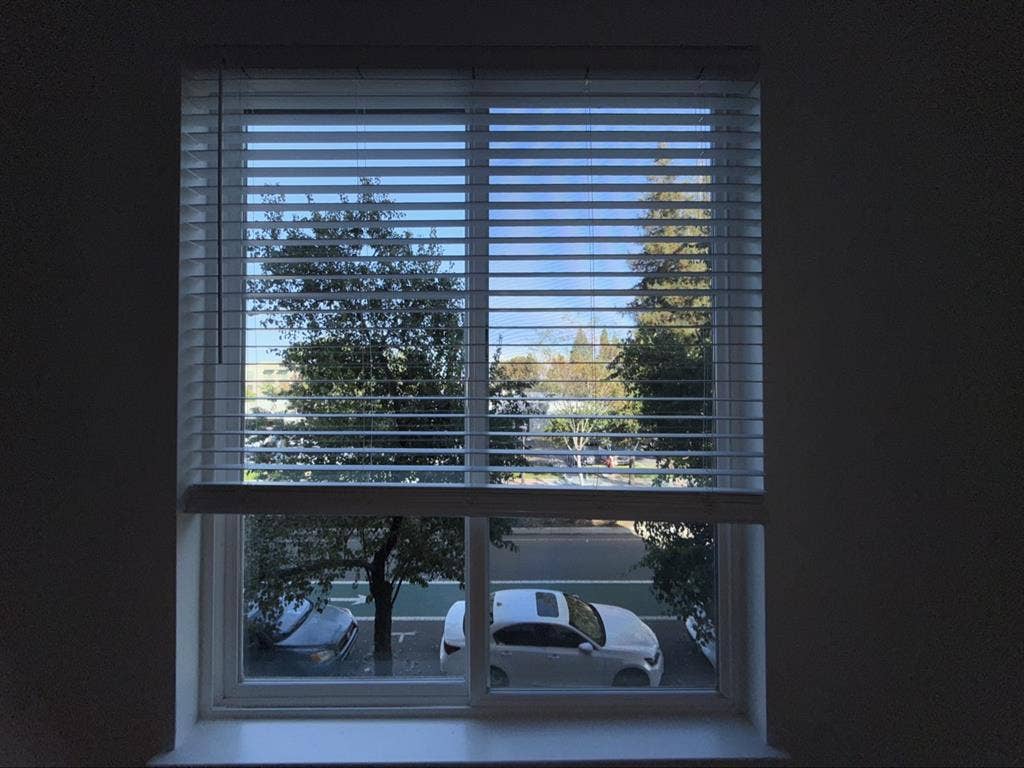 looking for a roommate