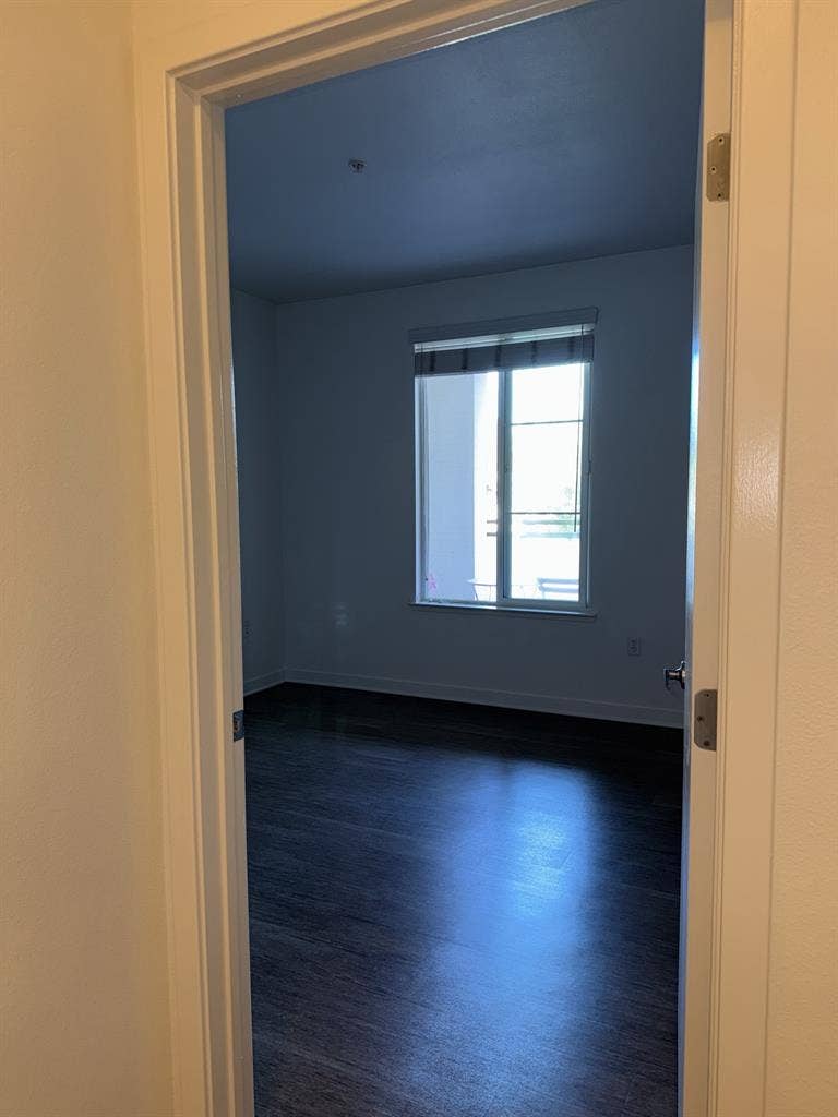 looking for a roommate