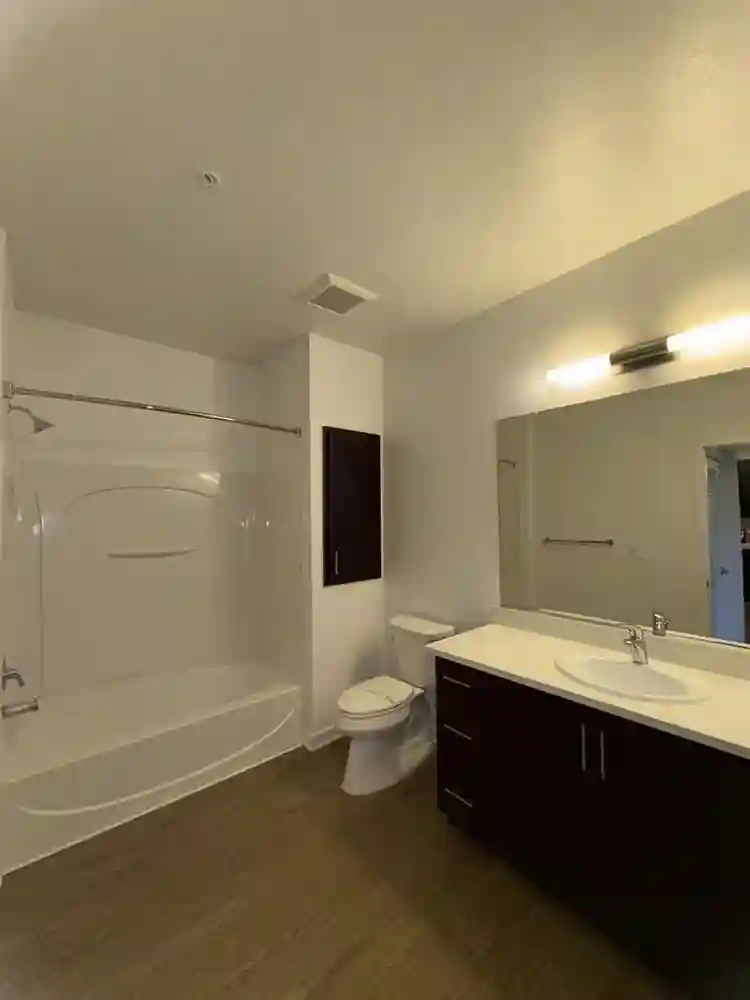 looking for a roommate