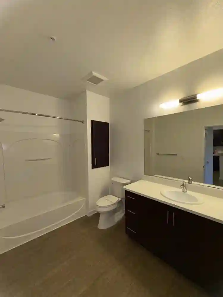 looking for a roommate