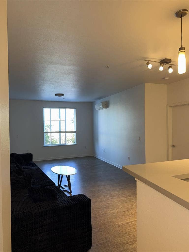 looking for a roommate