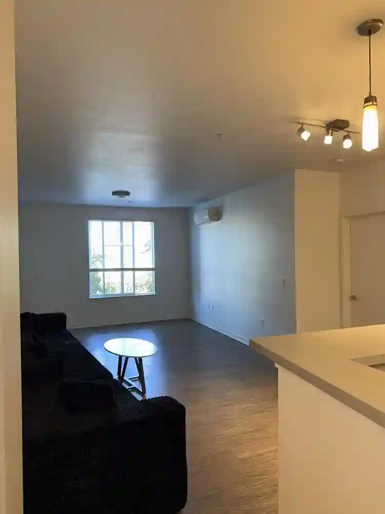 looking for a roommate