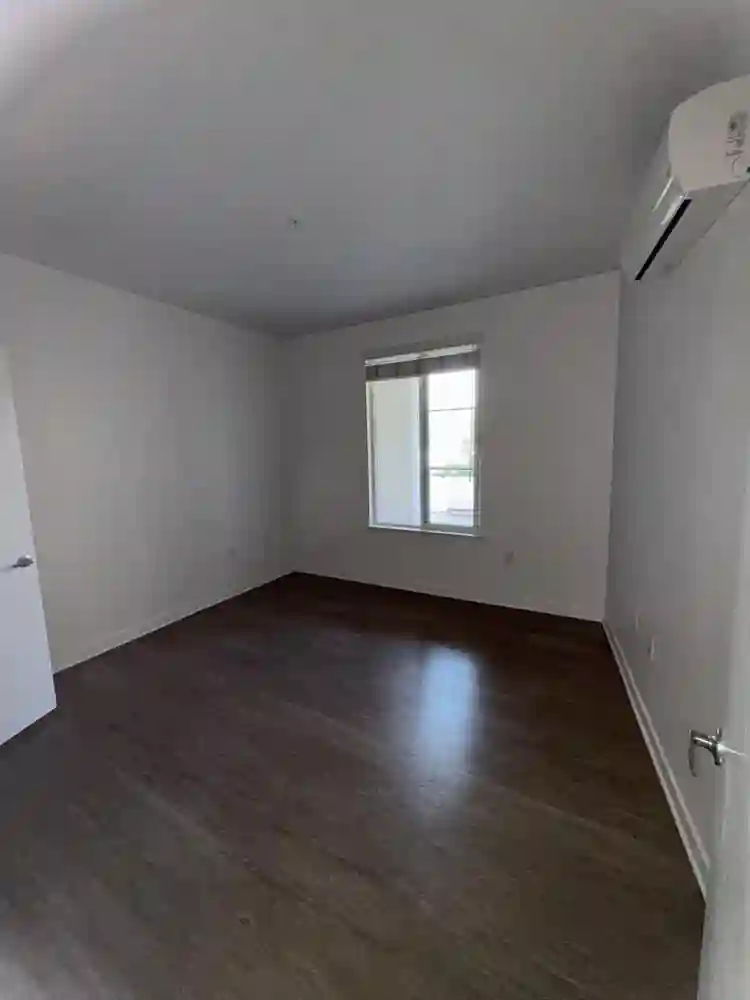 looking for a roommate